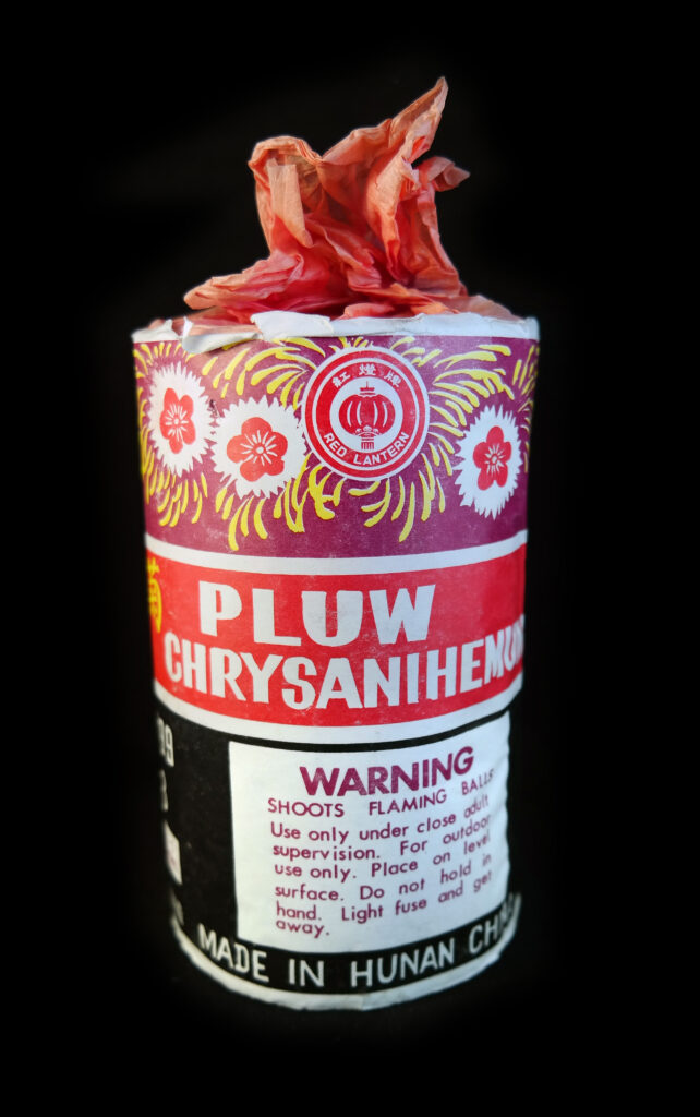 Pluw Chrysanthemum